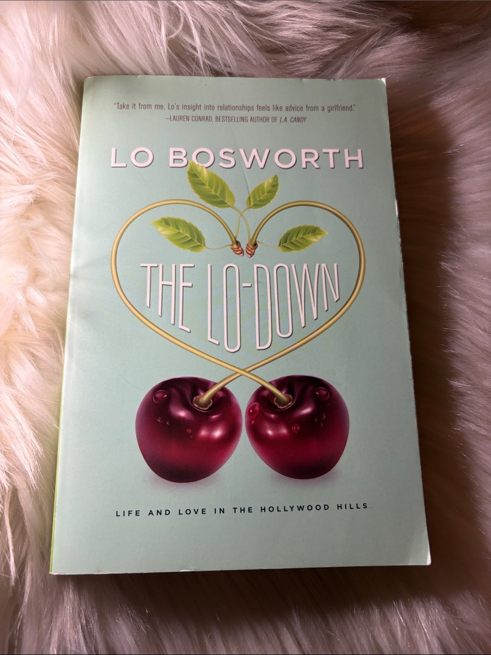 📚 3 for $15 📚 The Lo-Down Paperback – Mint Cover with Cherry Artwork